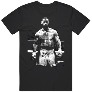 Lebron James Funny Boxing Meme Basketball Fan v2 T Shirt