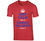 Danilo Gallinari Keep Calm Handle It Los Angeles Basketball Fan T Shirt